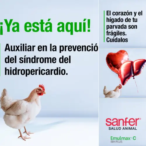 Emulmax